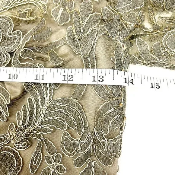 NWT Tadashi Shoji Dress Corded Embroidery On Tulle 3/4 Sleeve. Smoke Pearl Sz 2P